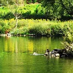 Moselterrasse 3*