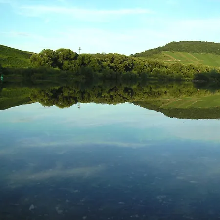 Moselterrasse 3* Ediger-Eller