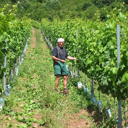 Hotell Moselterrasse 3*