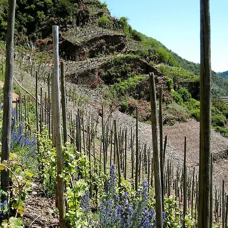 Otel Moselterrasse Ediger-Eller