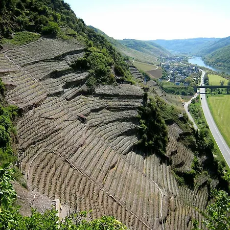 Otel Moselterrasse Ediger-Eller