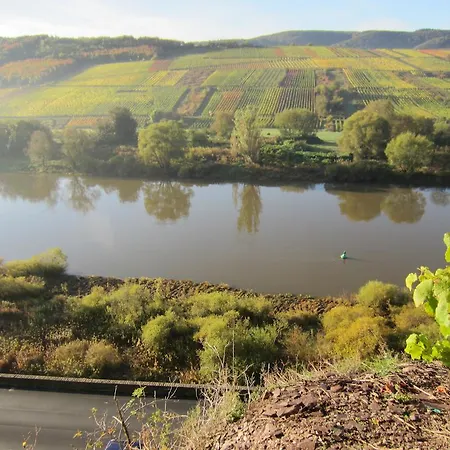 Moselterrasse Ediger-Eller