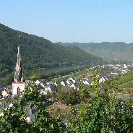 Moselterrasse Ediger-Eller