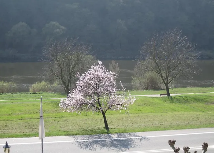 Moselterrasse 3* Ediger-Eller