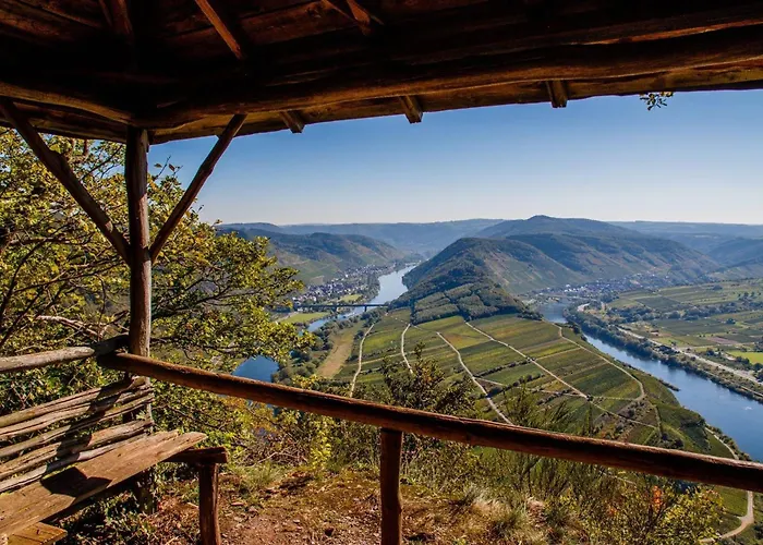 Moselterrasse Hotel 3*