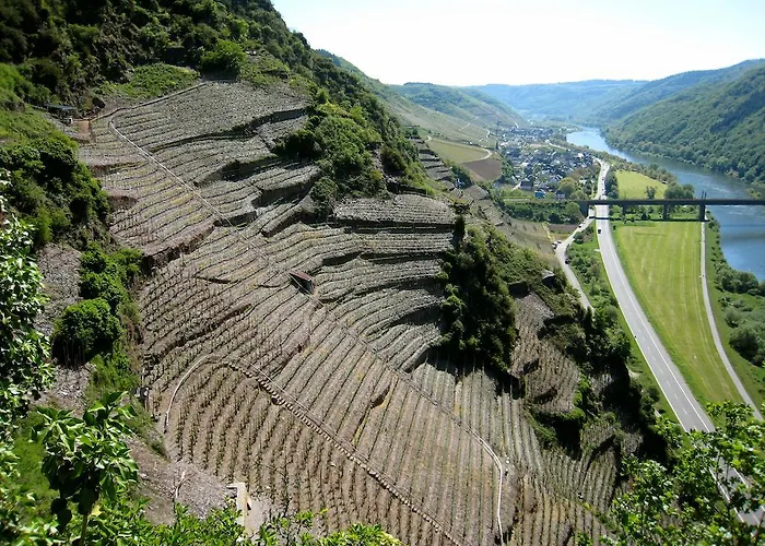 Hotel Moselterrasse Ediger-Eller
