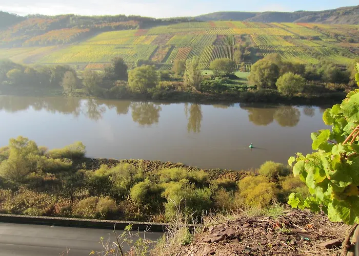 Moselterrasse Ediger-Eller