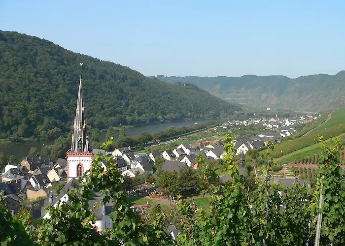 Moselterrasse Ediger-Eller